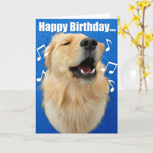 Fijne verjaardag liedje voor jou! kaart (Gele Bloem)