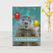 Fijne verjaardag op Groundhog Day Opnieuw Kaart (Gele Bloem)