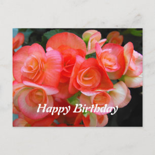 fijne verjaardag rode bedelonia bloemen briefkaart