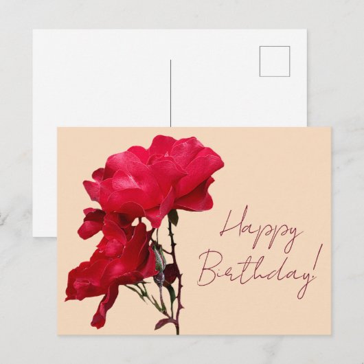 Fijne verjaardag rode roos bloemen boho bloemstuk  briefkaart (Voorkant / Achterkant)