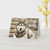Fijne verjaardag Siberië Husky Puppy Dog Kaart (Gele Bloem)