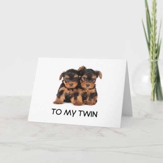 FIJNE VERJAARDAG VAN DE BESTE TWEELING OOIT KAART (Voorkant)