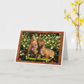 Fijne verjaardag van de Dachshunds! Kaart (Gele Bloem)