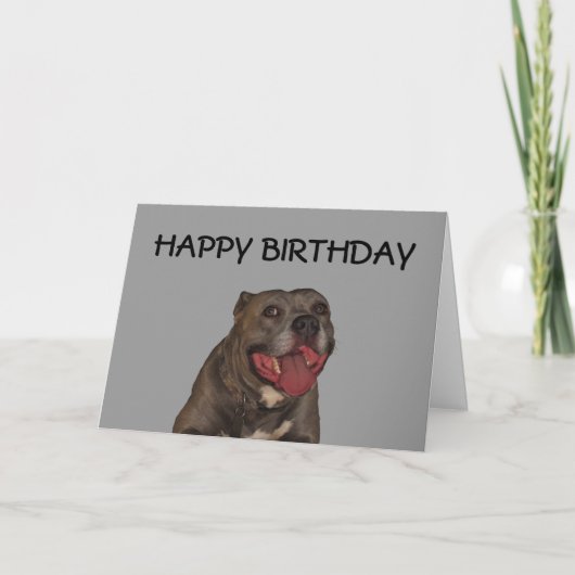 Fijne verjaardag van de hond kaart (Voorkant)