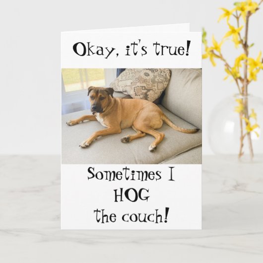 Fijne verjaardag van de hond kaart (Gele Bloem)