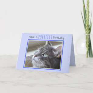 Fijne verjaardag van de kat kaart