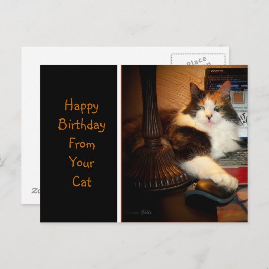 Fijne verjaardag van uw Briefkaart van de Kat-groe (Voorkant / Achterkant)