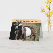 Fijne verjaardag voor een oude geit kaart (Gele Bloem)