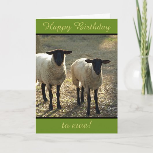Fijne verjaardag voor Ewe From the Flock!  Kaart (Voorkant)