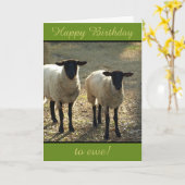 Fijne verjaardag voor Ewe From the Flock!  Kaart (Gele Bloem)