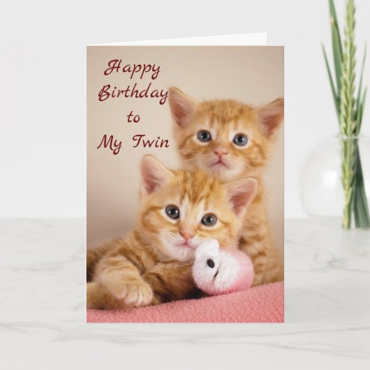 FIJNE VERJAARDAG VOOR MIJN TWEELING ****** KAART (Voorkant)