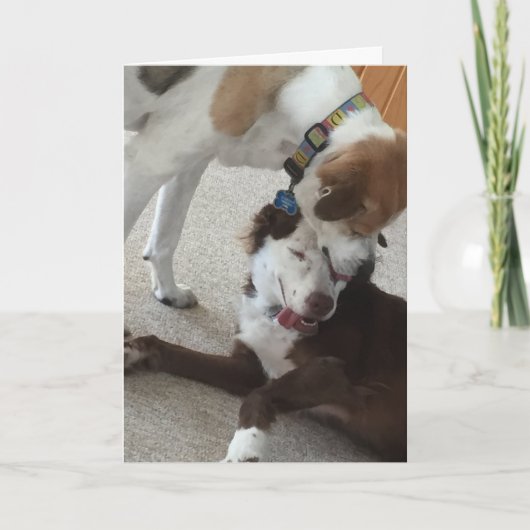 Fijne verjaardagskaart, honden die affectief zijn. kaart (Voorkant)