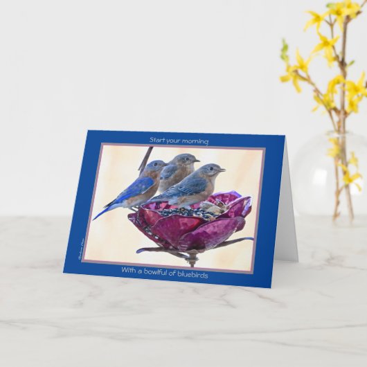 Fijne Vogeldag! Kaart: Bowlful of bluebird Card Kaart (Gele Bloem)