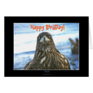 Fijne vogeldag! Kale adelaar groet-Kaart