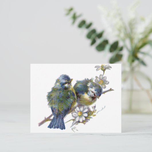 Fijne  vogels briefkaart (Staand voorkant)