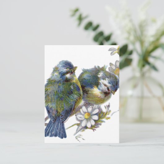 Fijne  vogels briefkaart (Staand voorkant)