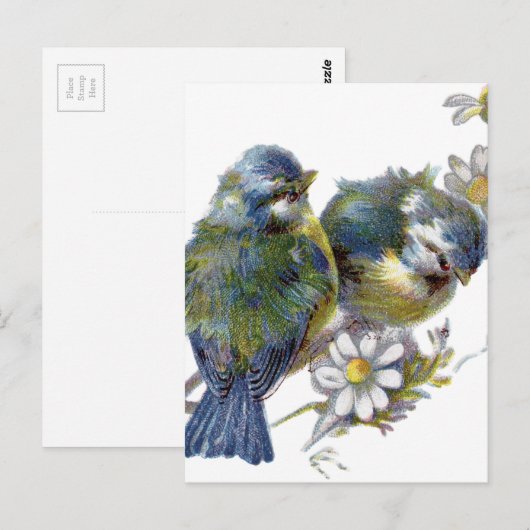 Fijne vogels briefkaart (Voorkant / Achterkant)