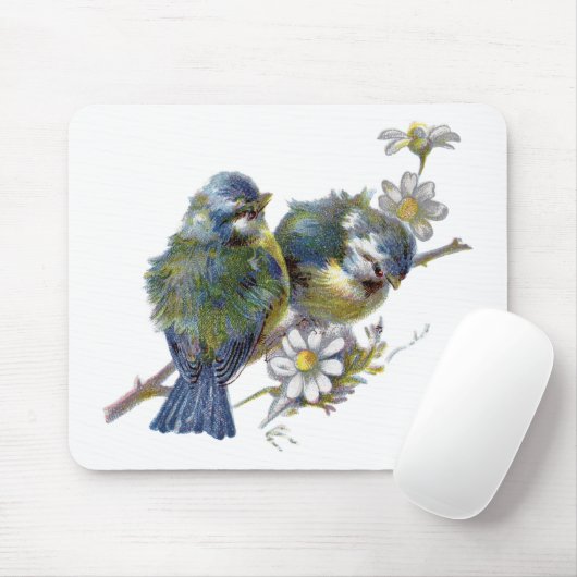 Fijne  vogels muismat (Met muis)