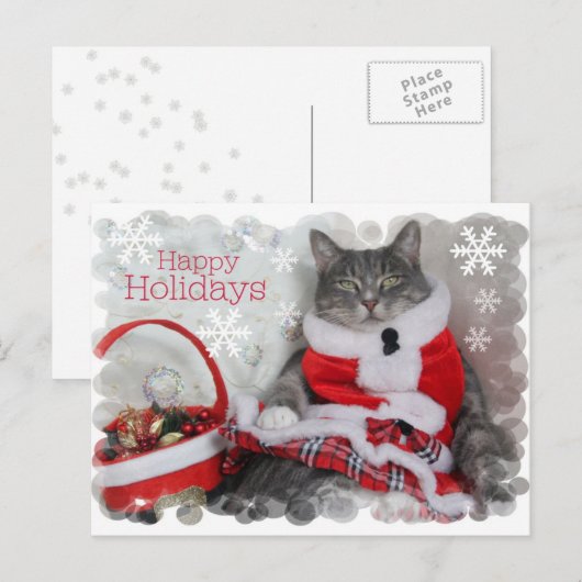 Fijne winterse Feestdagen met de kat (Voorkant / Achterkant)