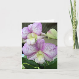 Fijne witte en paarse orchidee blanco kaart