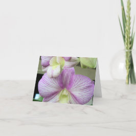 Fijne witte en paarse orchidee op een Hartelijk da Bedankkaart