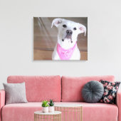Fijne witte hond met zigeelogen ogen ogen in roze canvas afdruk (Insitu (Woonkamer))