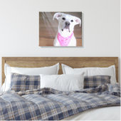 Fijne witte hond met zigeelogen ogen ogen in roze canvas afdruk (Insitu (Slaapkamer))