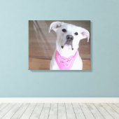 Fijne witte hond met zigeelogen ogen ogen in roze canvas afdruk (Insitu (Houten vloer))