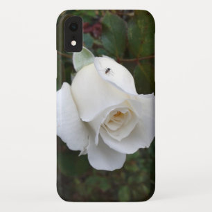 Fijne witte rozenNatuur Case-Mate iPhone Case