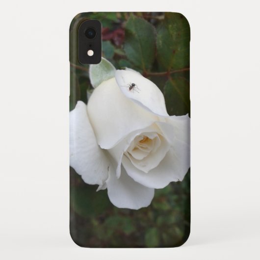 Fijne witte rozenNatuur Case-Mate iPhone Case (Achterkant)