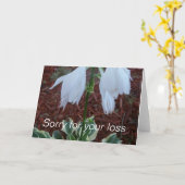 Fijne witte Sun Hosta Flowers op een sympathie Kaart (Gele Bloem)