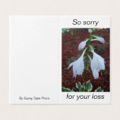 Fijne witte Sun Hosta Flowers op sympathie Kaart (Buitenkant ongevouwen)