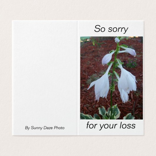 Fijne witte Sun Hosta Flowers op sympathie Kaart (Buitenkant ongevouwen)
