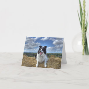 Fijne Woofdag! VOEDINGSKAART Kaart