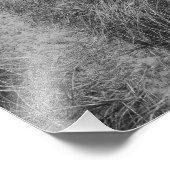 Fijnfoto van Michigan Lake Foto Afdruk (Hoek)