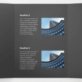 Fijnkleurige monochromatische platte zijdelingse s drieluik kaart (Binnenkant midden)