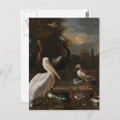 Fijnvogels Briefkaart (Voorkant / Achterkant)