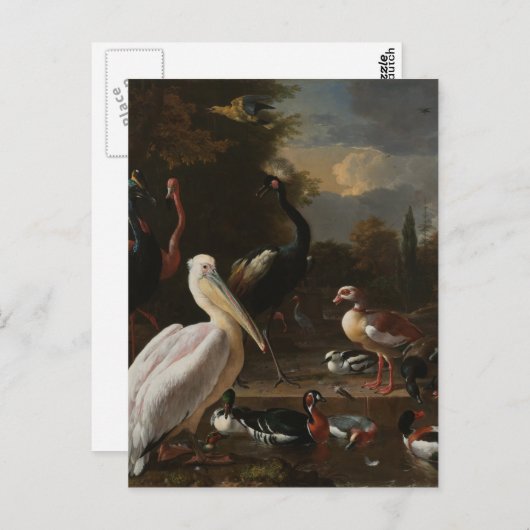 Fijnvogels Briefkaart (Voorkant / Achterkant)