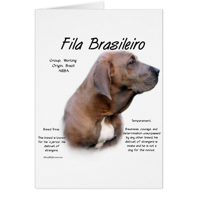 Fila Brasileiro Geschiedenisontwerp (Voorkant)