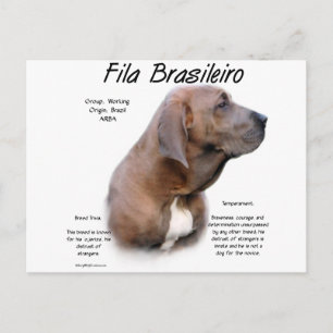 Fila Brasileiro Geschiedenisontwerp Briefkaart