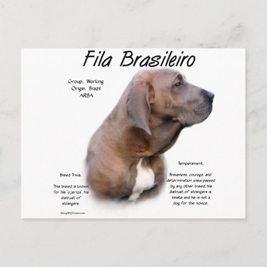 Fila Brasileiro Geschiedenisontwerp Briefkaart (Voorkant)