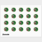 Fila Brasileiro Vrede Ronde Sticker (Vel)