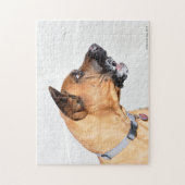 Fila Brasiliero Mastiff Jigzaag Puzzle Legpuzzel (Verticaal)