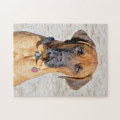 Fila Brasiliero Mastiff Jigzaag Puzzle Legpuzzel (Horizontaal)