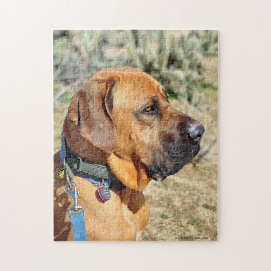 Fila Brasiliero Mastiff Jigzaag Puzzle Legpuzzel (Verticaal)