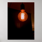 filamentos poster (Voorkant)