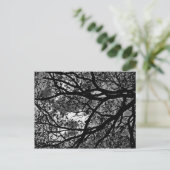 Filialen postkaart (Staand voorkant)