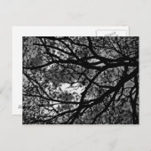 Filialen postkaart (Voorkant / Achterkant)