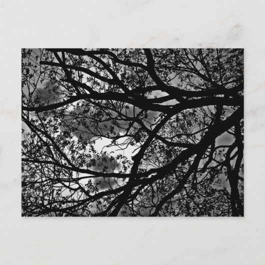 Filialen postkaart (Voorkant)