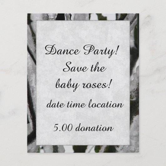 Filialen van Roos Flyer (Voorkant)